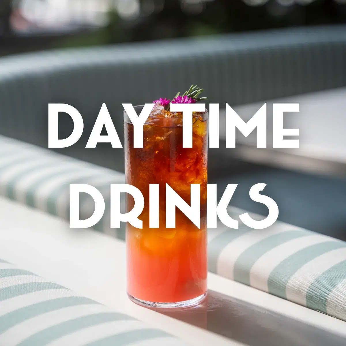 call to action for the day time drinks menu on Mami Rose restaurant website