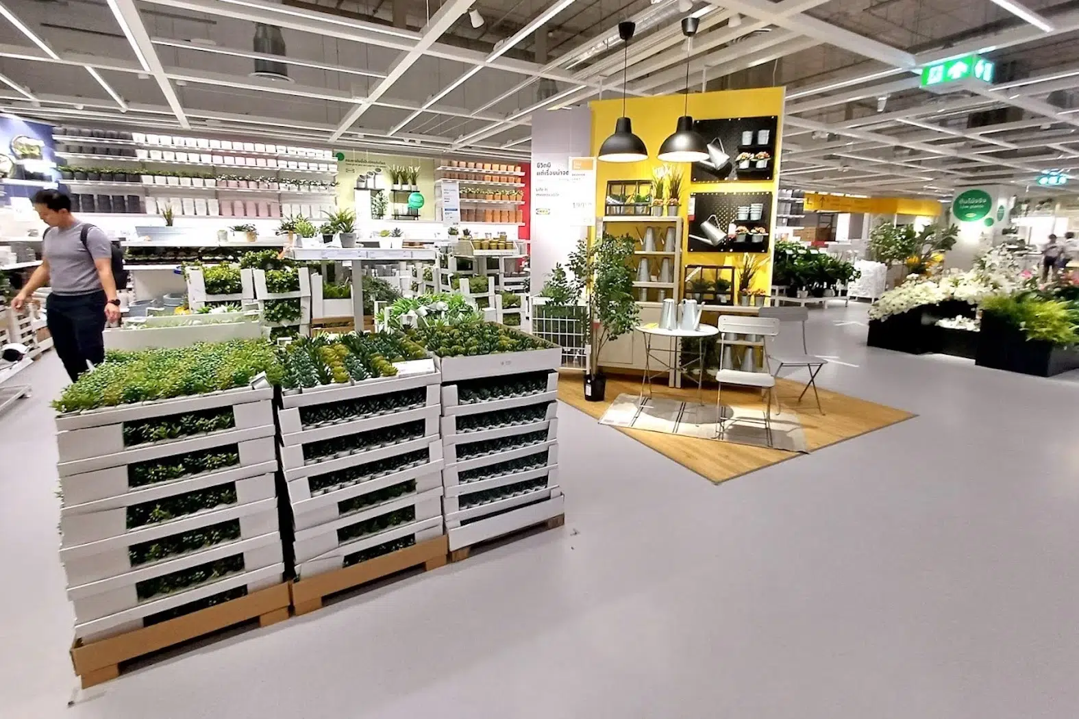 This is the plant store of IKEA in Emsphere Mall in Bangkok.